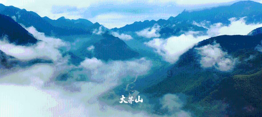 伯斯森林逃生