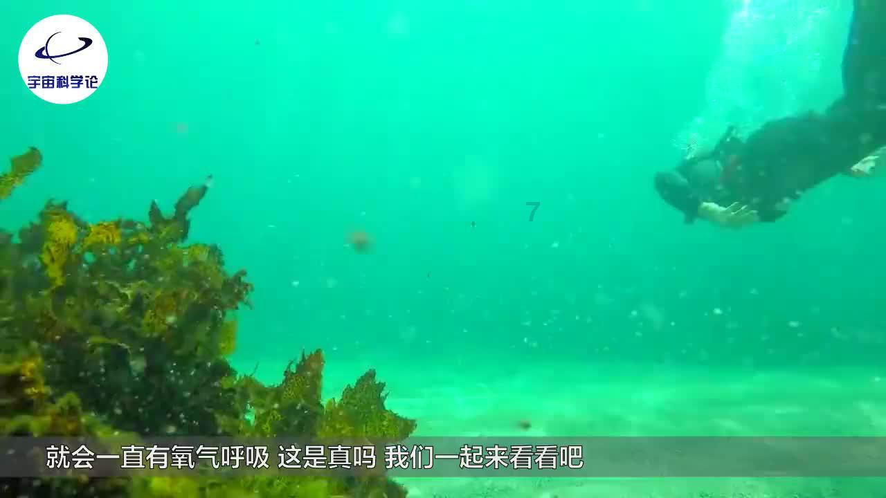 妙鸭相机app下载官网