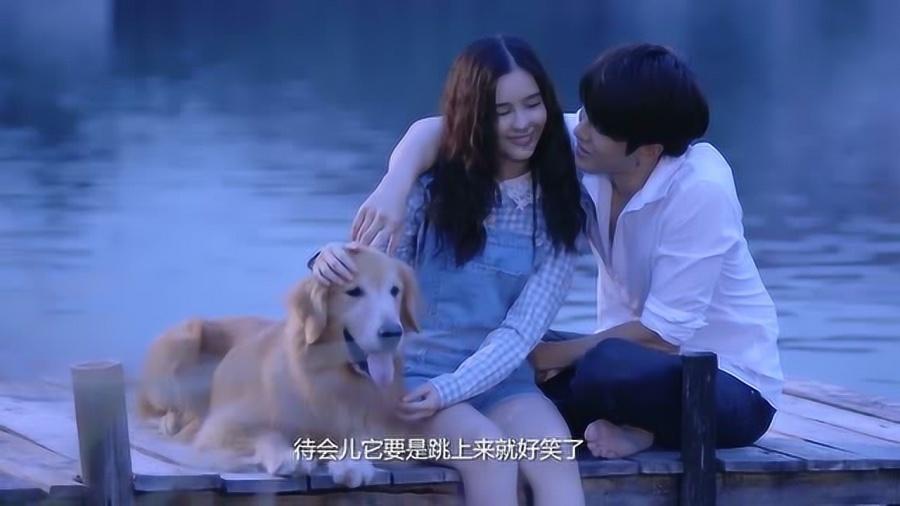 与鸥同“奏”冬日曲