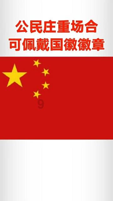 《潜水员戴夫》银碟作用介绍